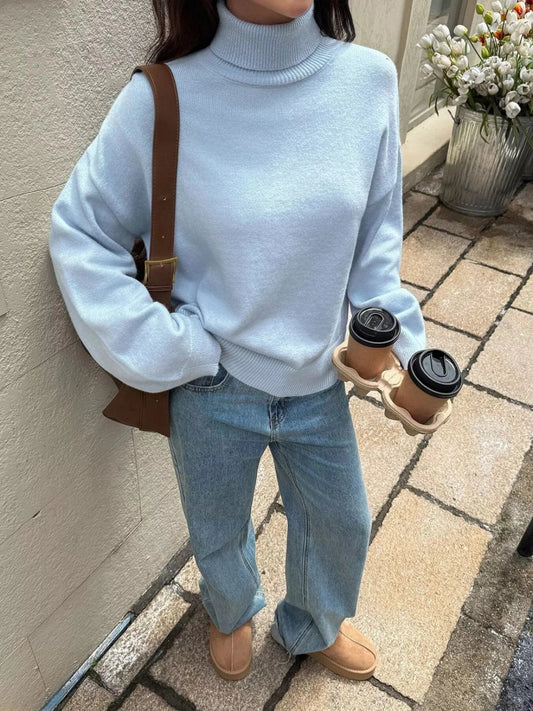 Turtleneck Long Sleeve Sweater - Trendsi