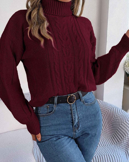 Cable - Knit Turtleneck Sweater - Trendsi