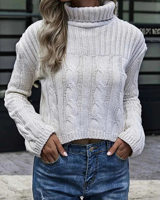 Cable - Knit Turtleneck Sweater - Trendsi