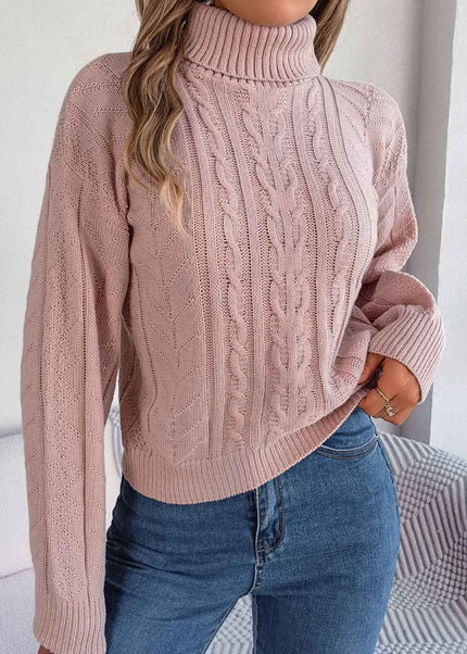 Cable - Knit Turtleneck Sweater - Trendsi