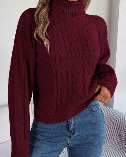 Cable - Knit Turtleneck Sweater - Trendsi