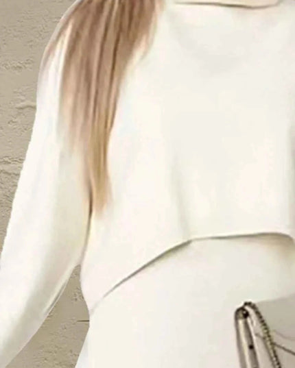 Turtleneck Dropped Shoulder Sweater and Dress Sweater Set - Trendsi