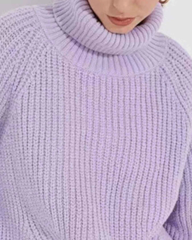 Turtleneck Long Sleeve Sweater - Trendsi