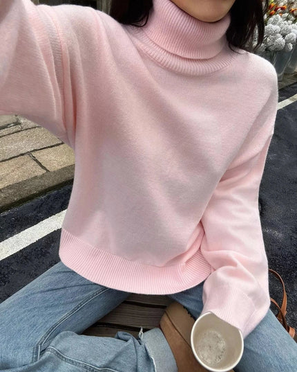 Turtleneck Long Sleeve Sweater - Trendsi