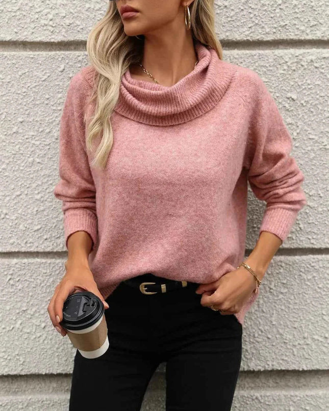 Turtleneck Long Sleeve Sweater - Trendsi
