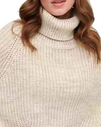 Turtleneck Long Sleeve Sweater - Trendsi
