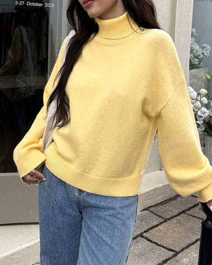 Turtleneck Long Sleeve Sweater - Trendsi