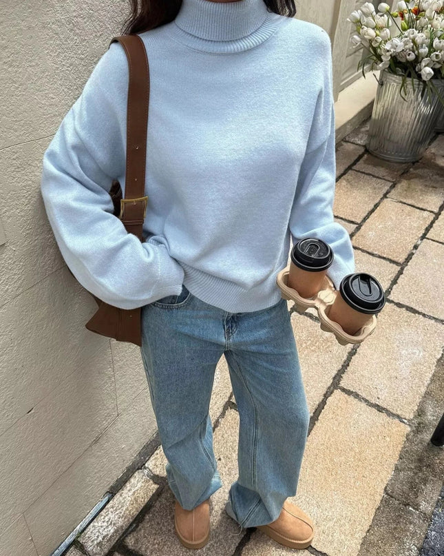 Turtleneck Long Sleeve Sweater - Trendsi