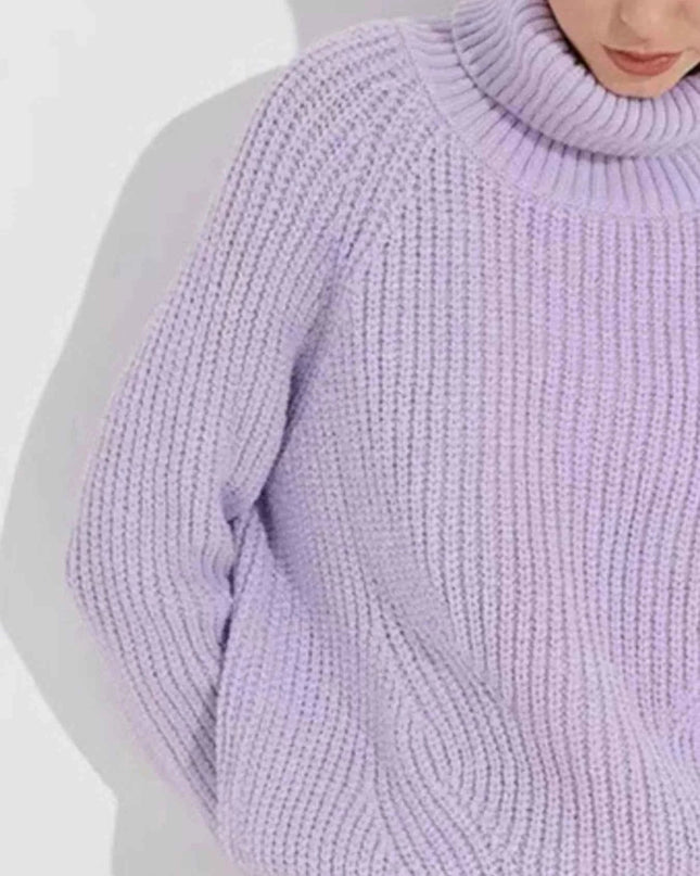 Turtleneck Long Sleeve Sweater - Trendsi
