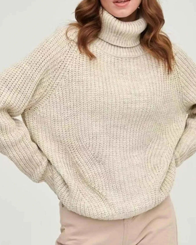 Turtleneck Long Sleeve Sweater - Trendsi