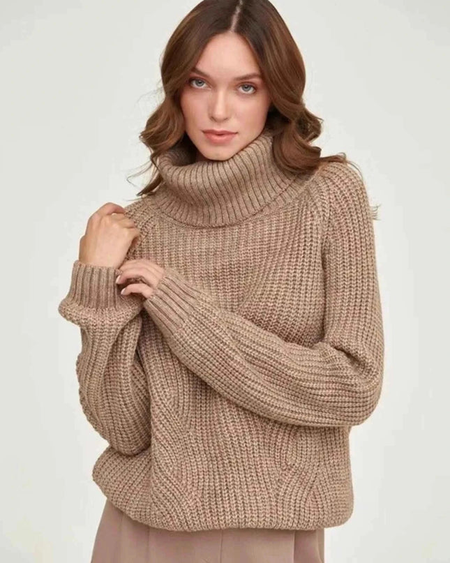 Turtleneck Long Sleeve Sweater - Trendsi