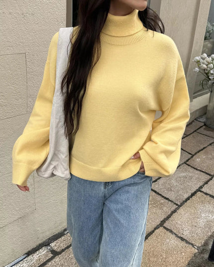 Turtleneck Long Sleeve Sweater - Trendsi