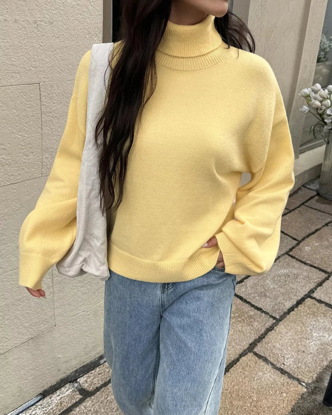 Turtleneck Long Sleeve Sweater - Trendsi