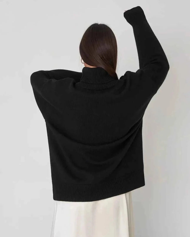 Turtleneck Long Sleeve Sweater - Trendsi