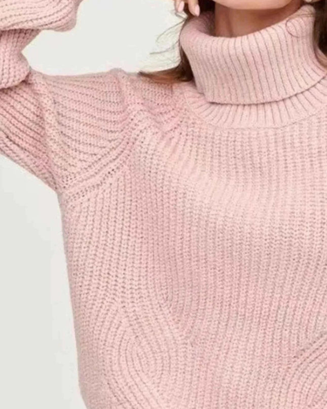 Turtleneck Long Sleeve Sweater - Trendsi