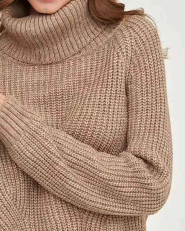 Turtleneck Long Sleeve Sweater - Trendsi
