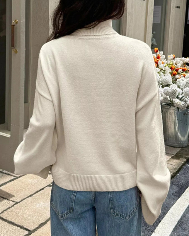 Turtleneck Long Sleeve Sweater - Trendsi