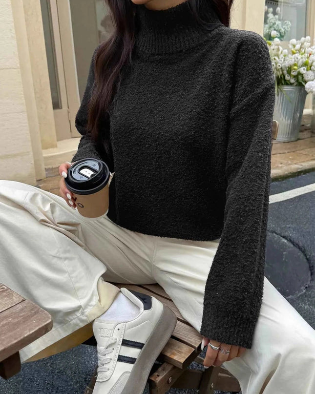 Turtleneck Long Sleeve Sweater - Trendsi