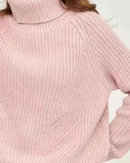 Turtleneck Long Sleeve Sweater - Trendsi